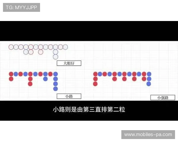 从百家乐小路深度解析今日胜率变化成市场最大焦点趋势与策略启示